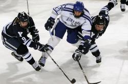 开云体育平台APP-灰熊冲垮公牛，爱德华兹成为关键先生，一场定义未来的战役