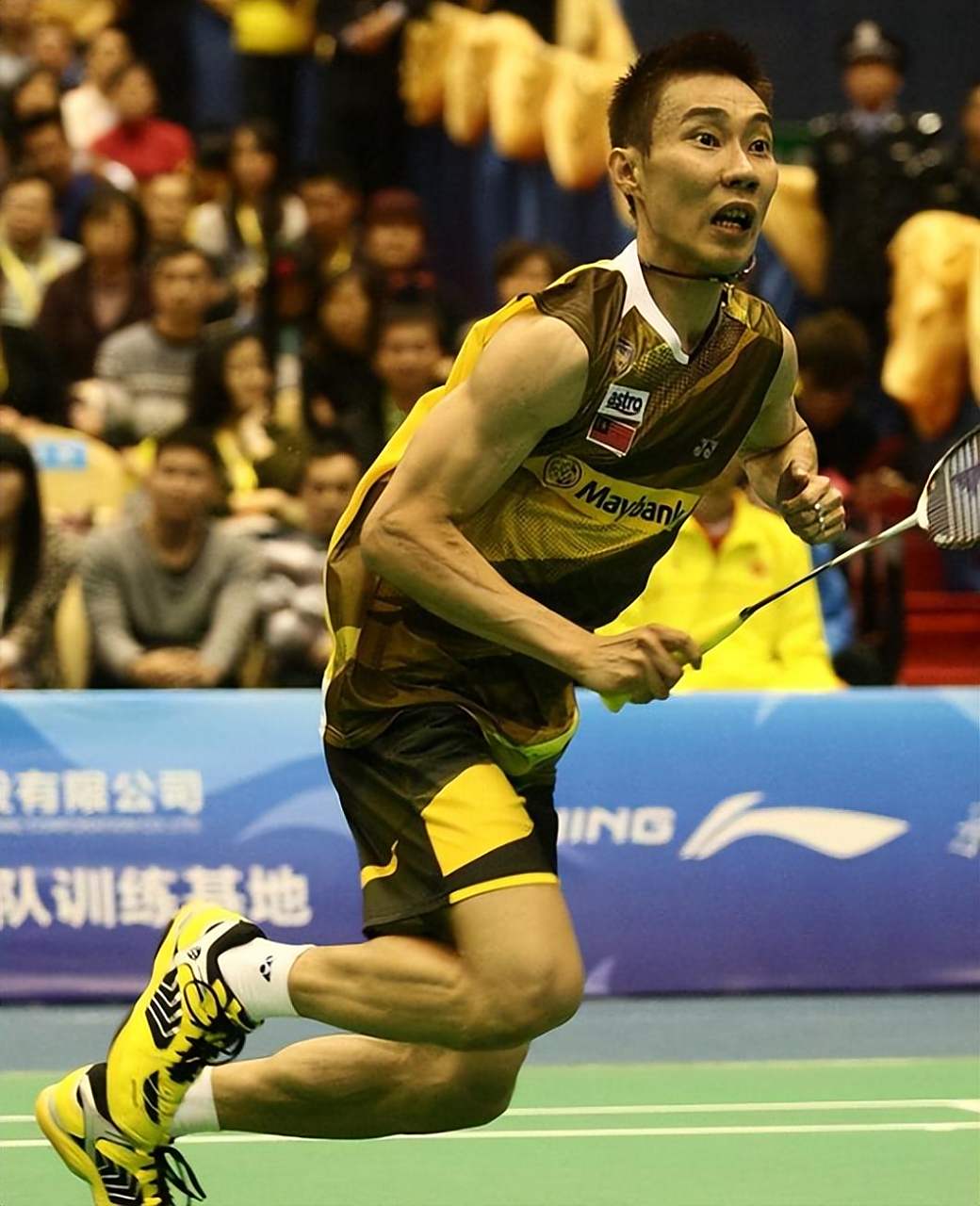 包含法国羽毛球队碾压英格兰羽毛球队，陶菲克关键制胜的词条