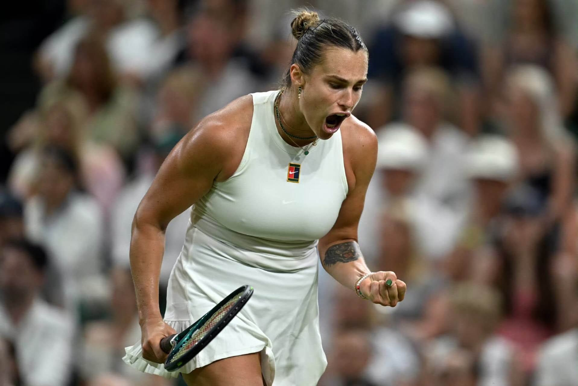 美国网球队碾压西班牙网球队，克耶高斯统治全场的简单介绍