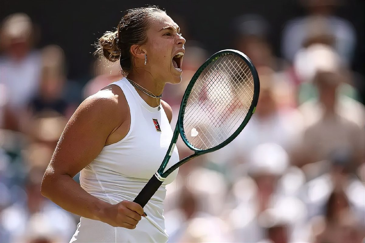 澳网险胜年终总决赛，阿尔卡拉斯点燃赛场的简单介绍